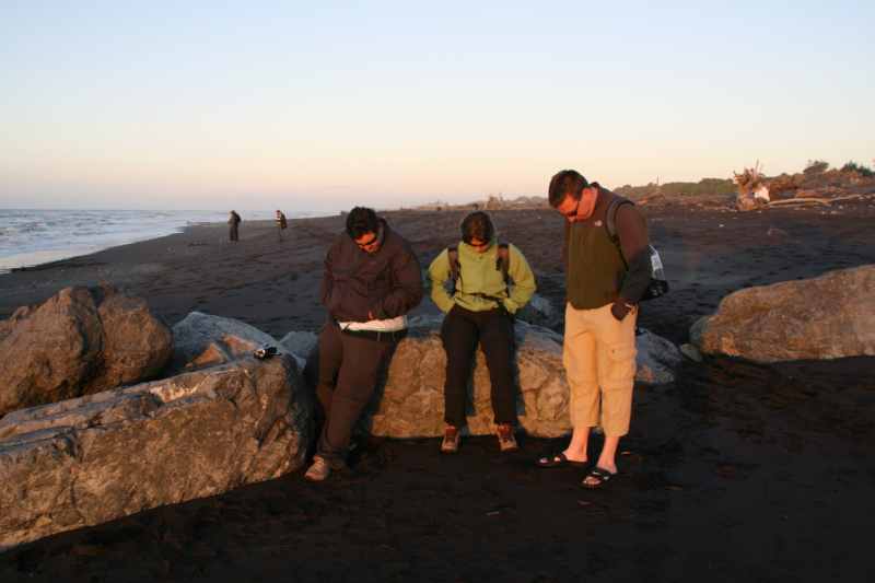 Nieuw-Zeeland 2011 - 1368